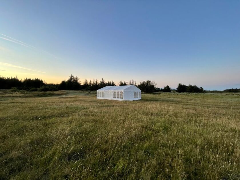 Tente de r&eacute;ception 4 &times; 8 m, b&acirc;che PE et acier galvanis&eacute; TOOLPORT